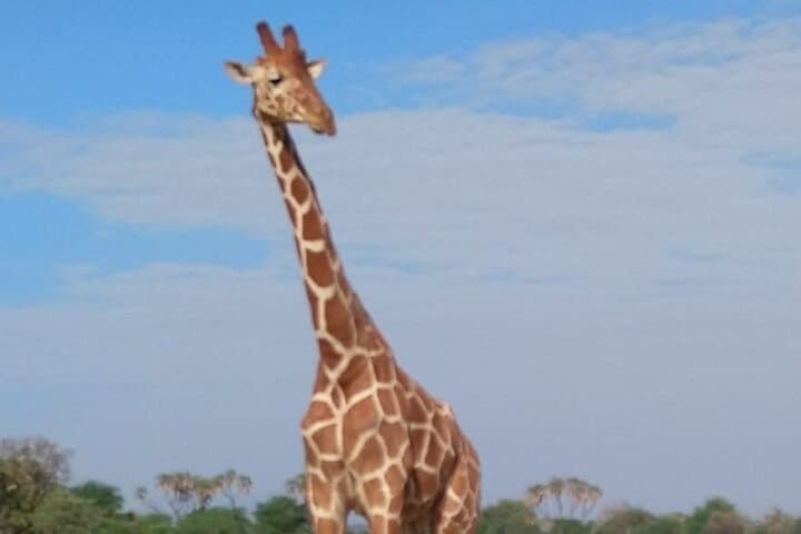 7-Day Private Safari to Amboseli National Park and Masai Mara