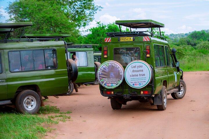 Full-Day Private Safari of Akagera National Park with Lunch