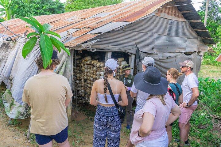 Siem Reap Floating Village Sunset Jeep Tour / SUV Car Available