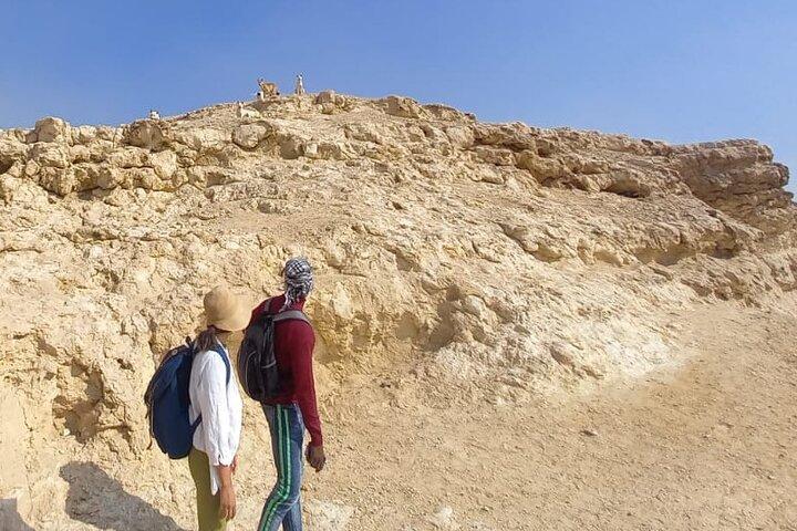 Hiking Adventure in the Heart of Cairo