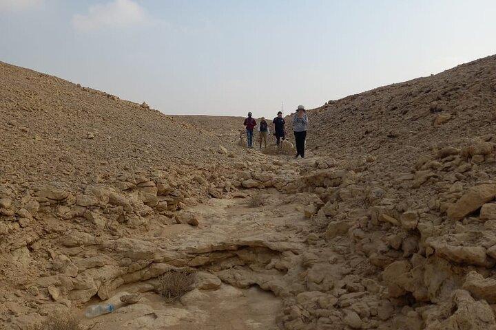 Hiking Adventure in the Heart of Cairo