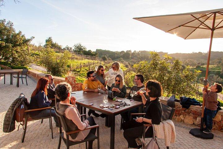 Porches Algarve Vineyard Tour and Wine Tasting Experience