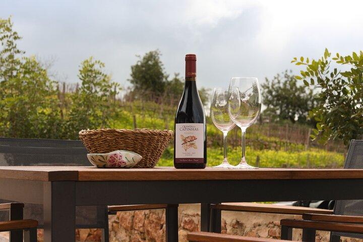 Porches Algarve Vineyard Tour and Wine Tasting Experience