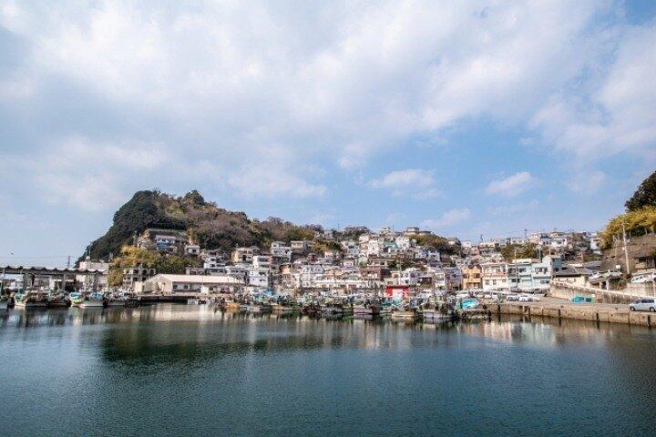 Wakayama Castle and Kuroshio Market 1 Day Tour