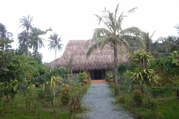 Mekong Delta Ben Tre Non-touristy Full-Day - VIP Private Tour