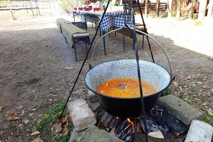 Private Horse Riding in the countryside and lunch with transport
