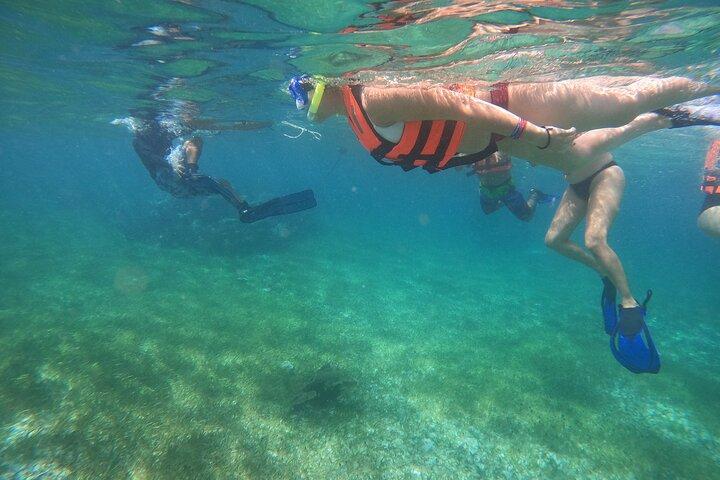 Reef Snorkeling with ATV, Zipline, Cenote that includes lunch and transportation