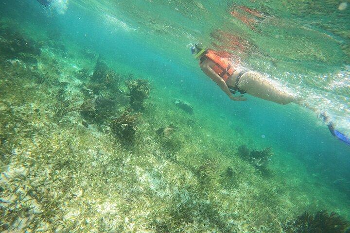 Reef Snorkeling with ATV, Zipline, Cenote that includes lunch and transportation