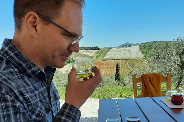 From Athens: Olive Oil Tasting, Olive Grove & Wine Experience