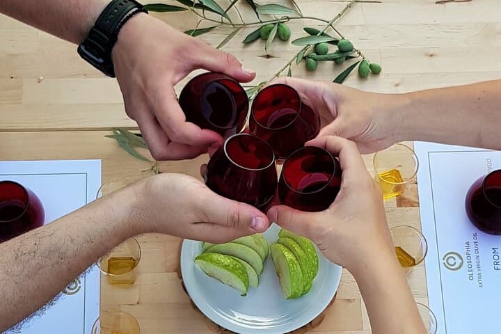 From Athens: Olive Oil Tasting, Olive Grove & Wine Experience
