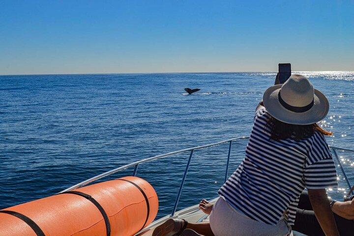 Private Yacht, Snorkeling or Sunset in Cabo San Lucas