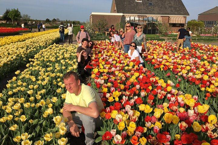 Half Day Keukenhof Tulip Paradise Trip from Amsterdam