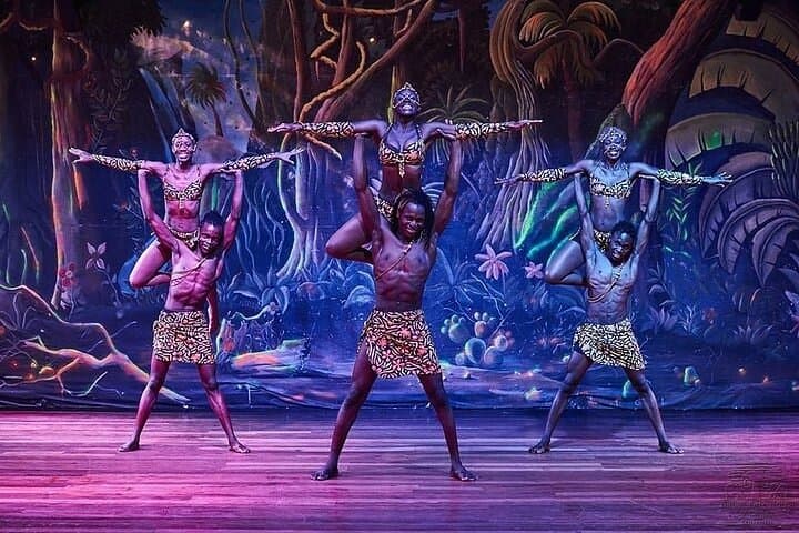 Safari Park Hotel Dining Experience and Cat Dance