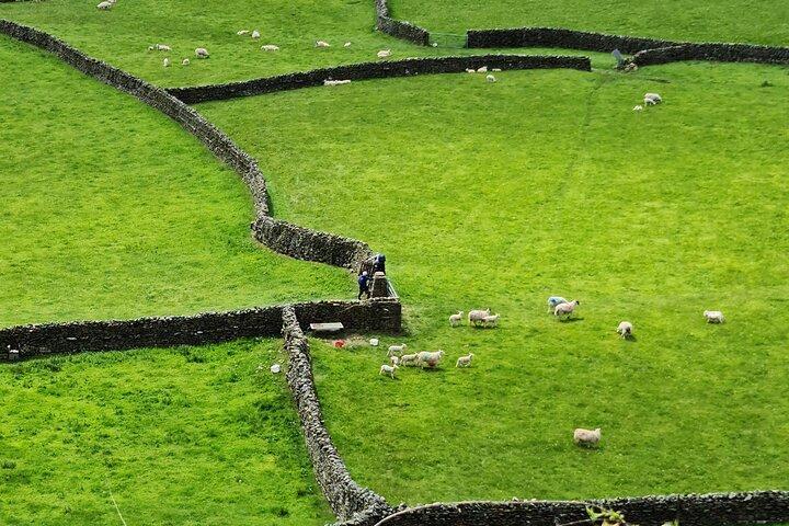 The Yorkshire Dales of All Creatures Great & Small