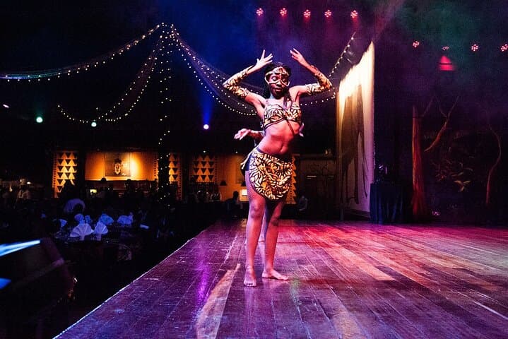 Safari Park dinner with live band music and cat dance show.