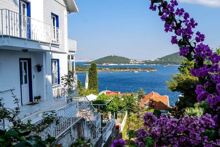 Istanbul Princes Island Tour with Lunch & Hotel Transfer