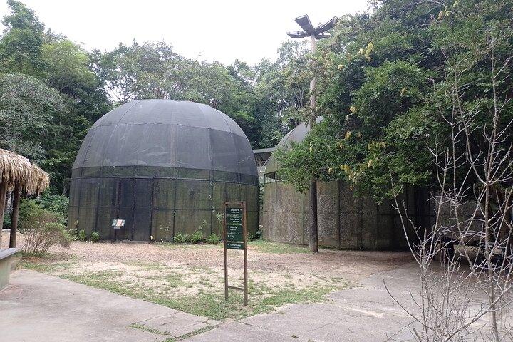 Tour at the MUSA – Amazon Museum in Manaus Amazon Experience
