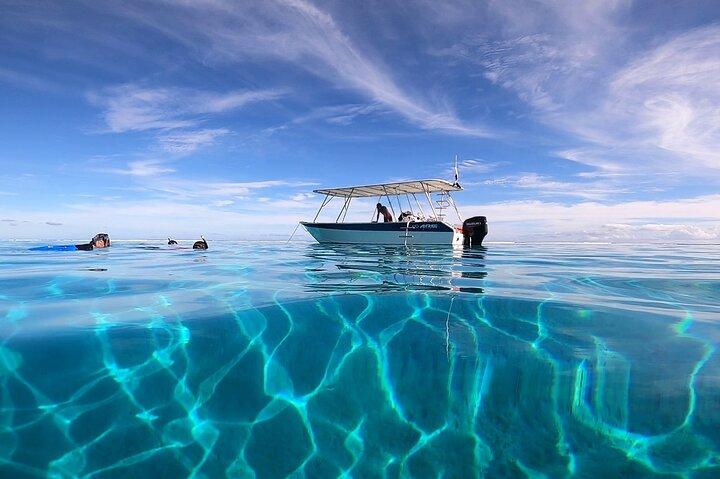 Boat tour + snorkeling in a preserved lagoon - Mobydick Tahiti