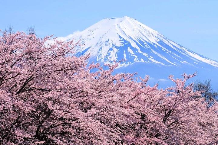 Mt Fuji & Hakone, Tokyo