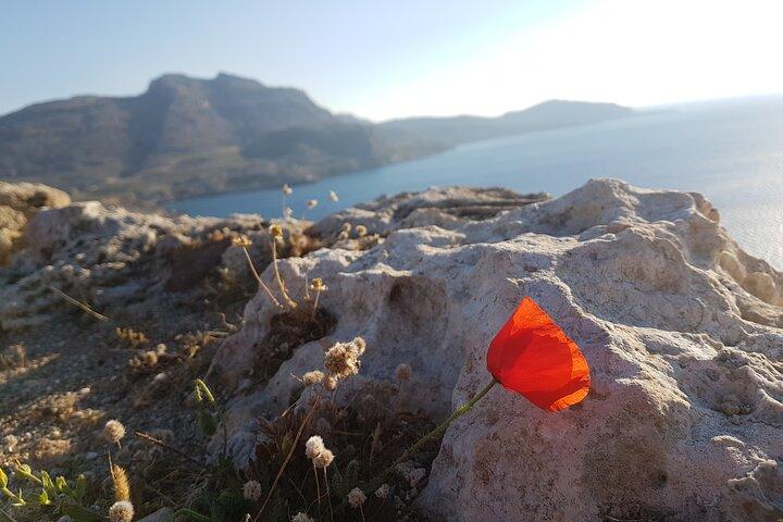 All in One Full Day Rhodes Island Tour for First Time Visitors