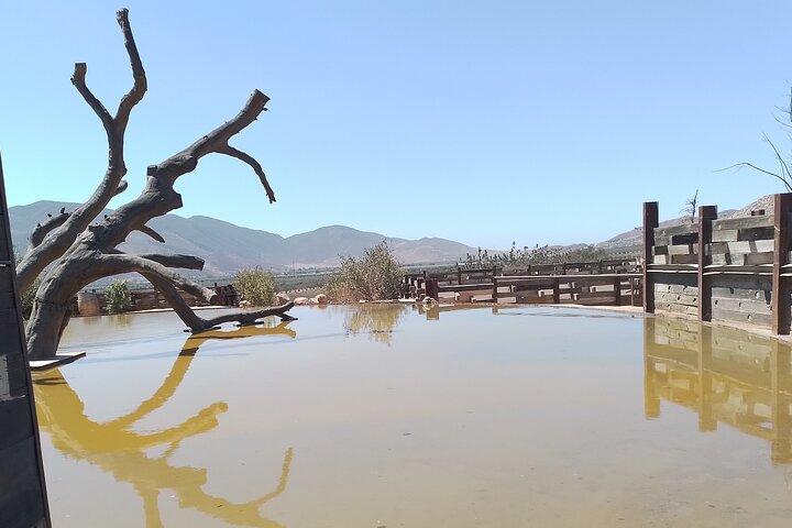 Tours and transport in Valle de Guadalupe