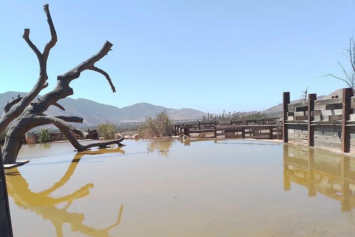 Tours and transport in Valle de Guadalupe