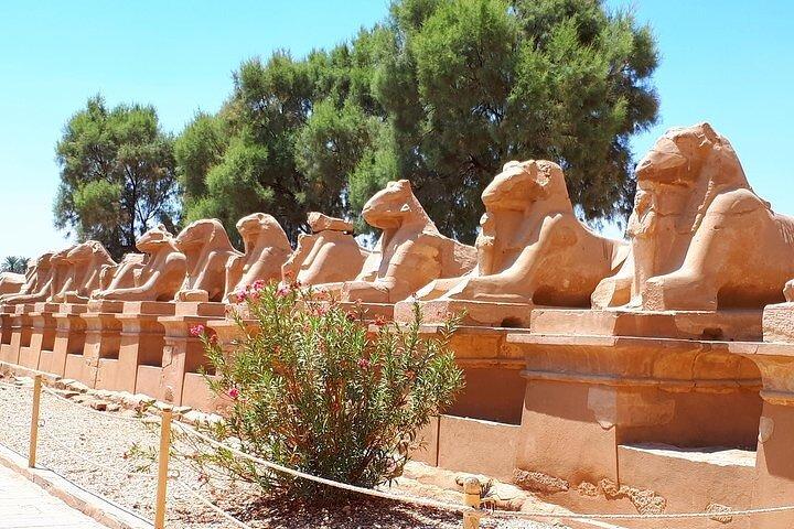 Luxor Private Half-Day Tour: Karnak Temple & Luxor Temples