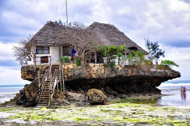 Dolphin tour, Jozani Forest, Jambiani Kuza Cave, Paje Beach &The Rock restaurent