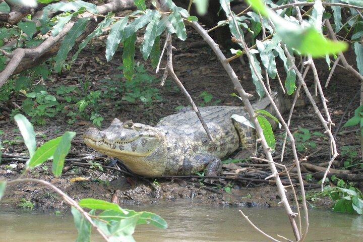 3 Day Tambopata National Reserve Tour with Local Guide & Wildlife