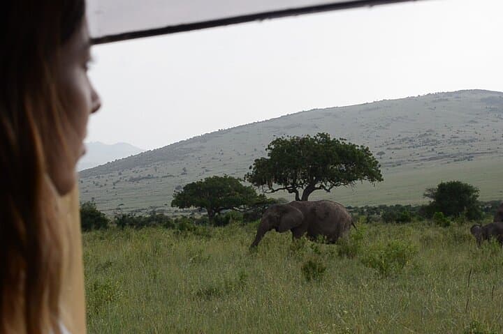 3 days Masai Mara on Private 4x4 Land Cruiser