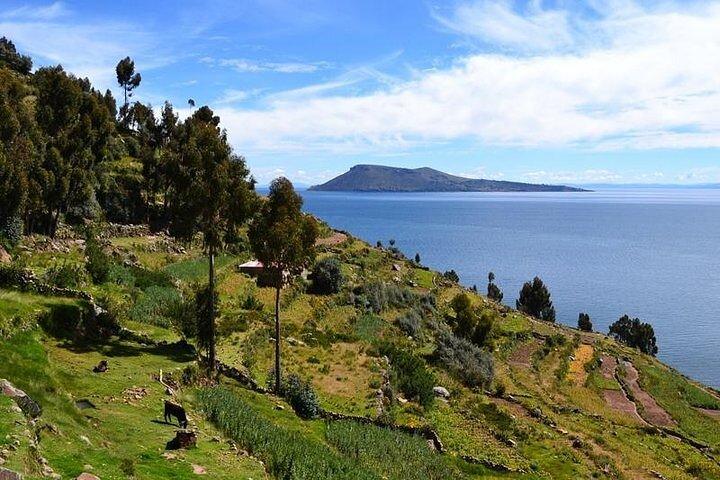 From Cusco to Lake Titicaca: 2-Day Homestay Tour