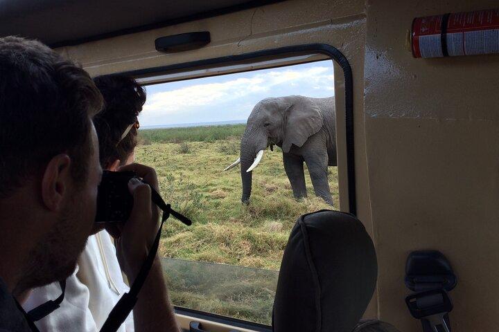 2-Day Amboseli Safari Witness Wildlife & Mt Kilimanjaro View