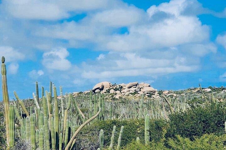 Half-Day Aruba UTV Adventure Tour