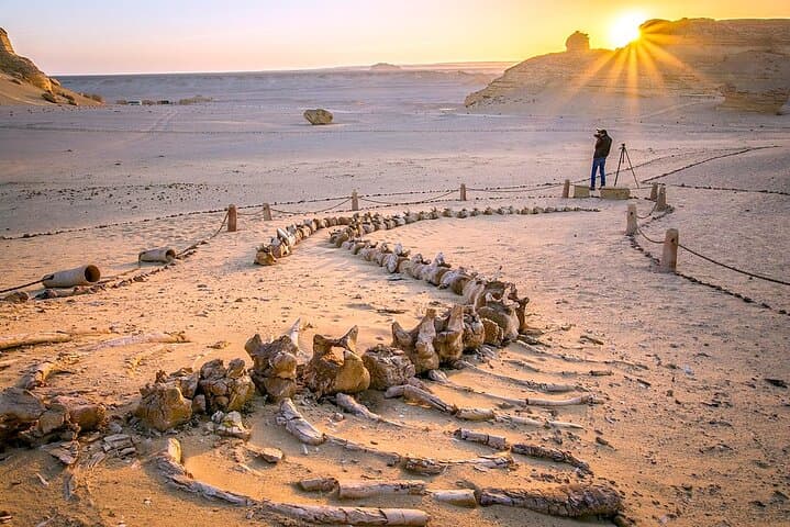 Private Tour in Fayoum for 2 Days and 1 Night