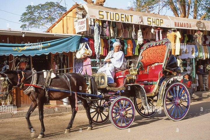 Luxor Sound & Light Show by Horse Carriage Ride