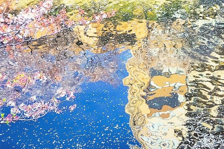 Licensed Guide Tokyo Meguro Cherry Blossom Walking Tour