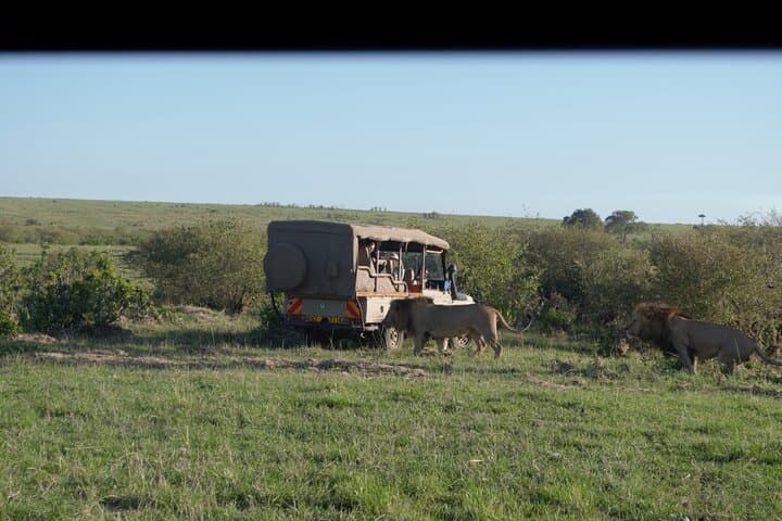 Ultimate 12 Days Private Safari Tour in Kenya and Tanzania