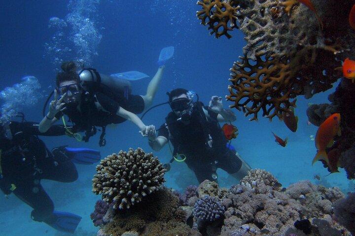 Antalya/Kemer Scuba Diving with Pickup, Lunch, and 2 Dives