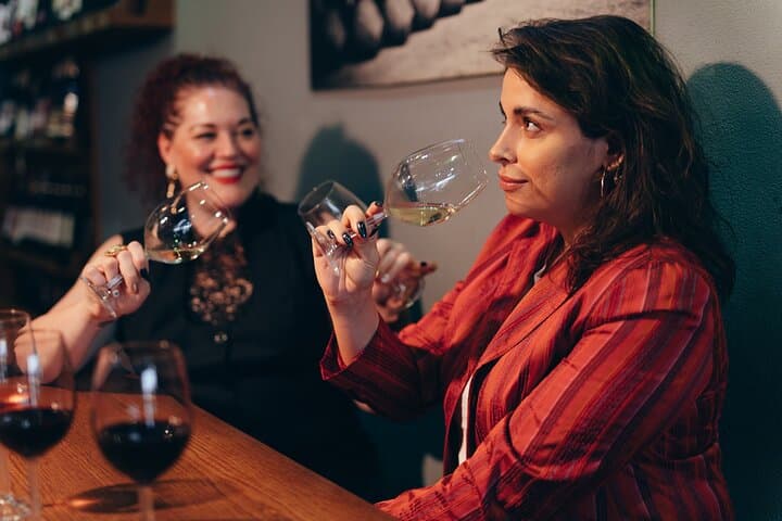 Istanbul Private Wine Tasting Tour Through 3 City Wineries