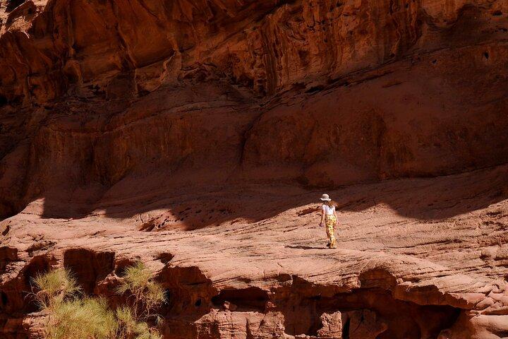 4 hours Jeep tour in Wadi Rum with Bedouin guide. Including lunch, water and tea