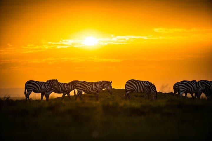 Amboseli National Park for 1 night and 2 days