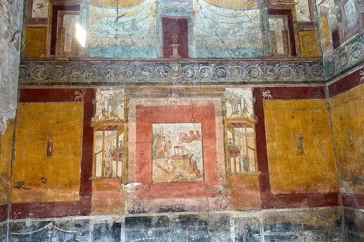 Pompeii Guided Tour and Wine Tasting from Positano