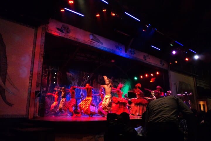 Safari Cat Dancers Show And Dinner