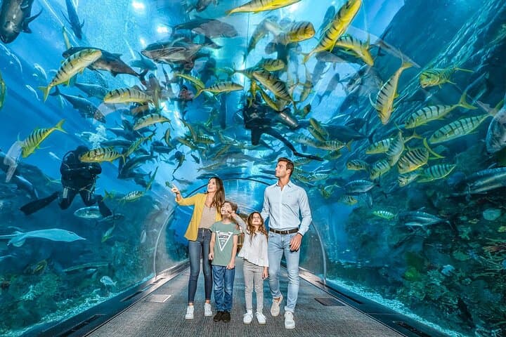 Dubai Mall Aquarium &Underwater Zoo Ticket's With Transfer
