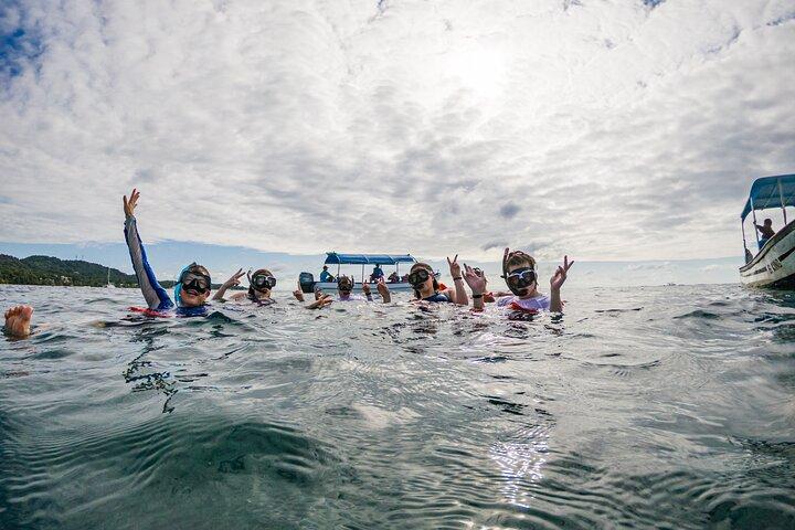 Boat and Snorkeling in West End (Blue Channel, The Aquarium, Turtle Crossing)