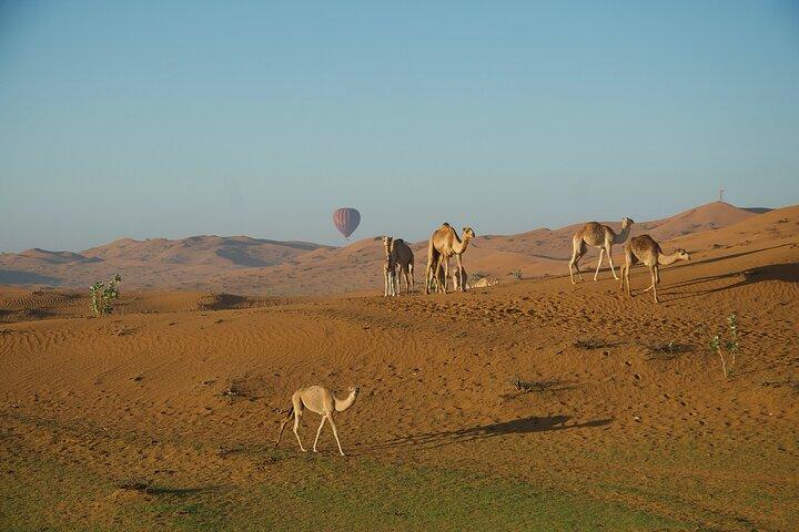 Hot Air Balloon Flight in Ras Al Khaimah
