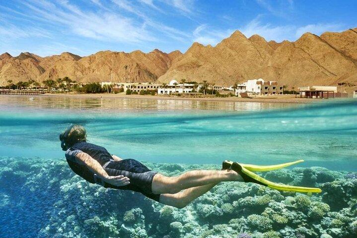 Private Tour in Cairo and Alexandria