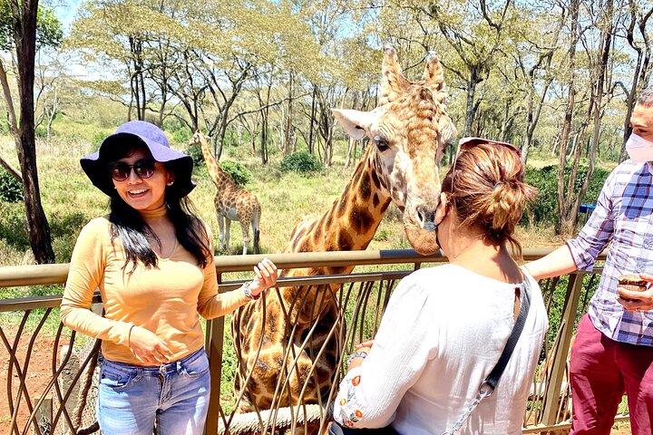 Elephant Orphanage and Giraffe Center Nairobi Day Tour