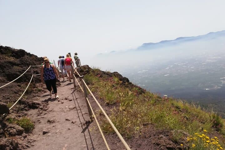 Mount Vesuvius tour by bus and ticket included from Ercolano