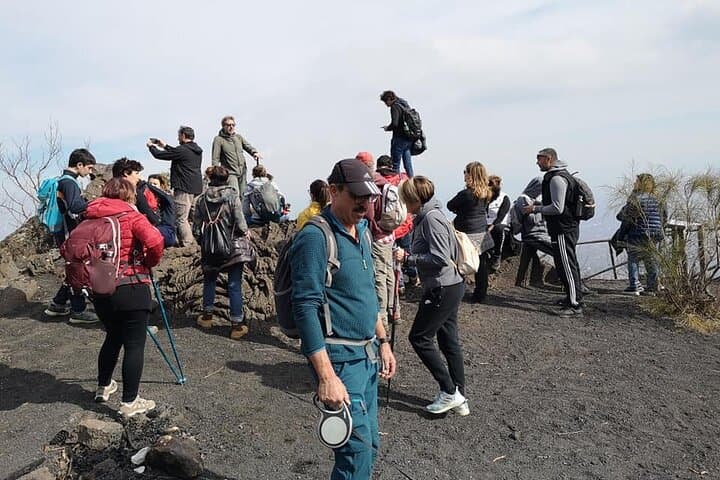 Mount Vesuvius tour by bus and ticket included from Ercolano